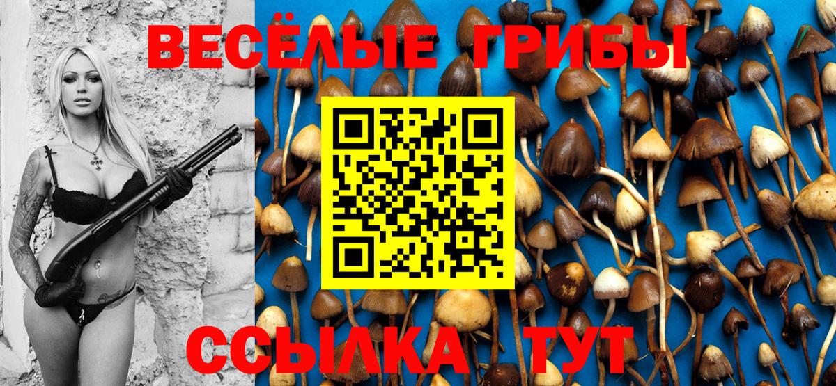 Карпинск  Псилоцибиновые грибы Psilocybine cubensis  Вход с VPN 